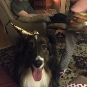 Meet your Posher, Tracy